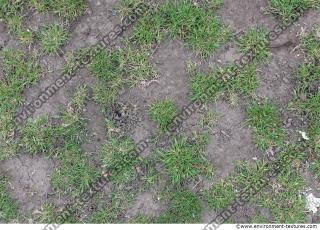 Photo Texture of Grass 